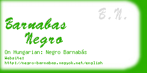 barnabas negro business card